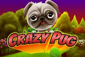 Crazy Pug
