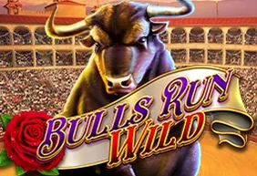 Bulls Run Wild
